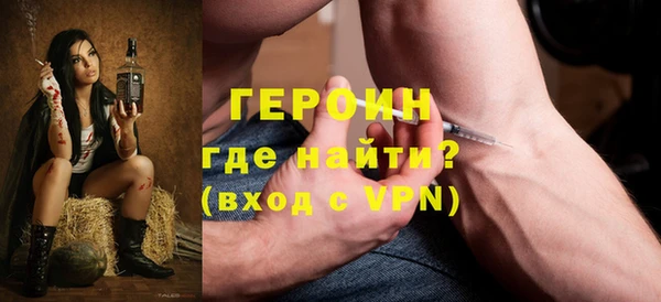 хмурый Аркадак