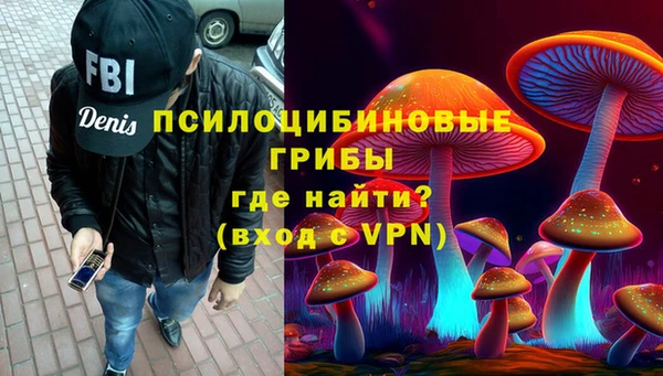 PSILOCYBIN Алексин