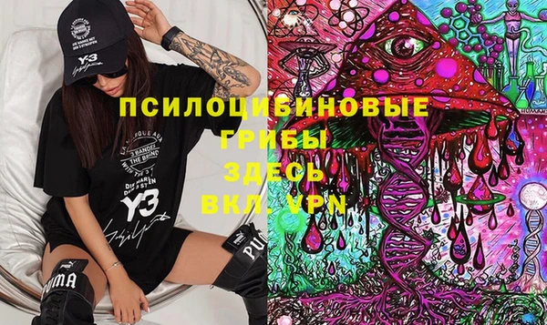 PSILOCYBIN Алексин