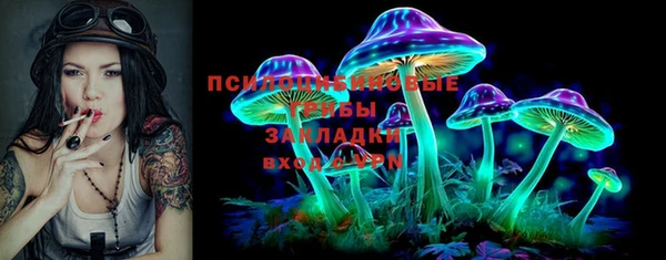 PSILOCYBIN Алексин