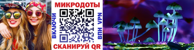 Галлюциногенные грибы мицелий Пласт