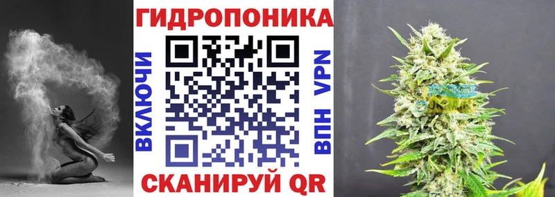 Бошки марихуана Amnesia  Пласт 